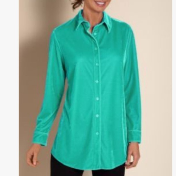 Soft Surroundings Mint Green Gemstone Soft Velvet Boyfriend Shirt - Picture 1 of 13
